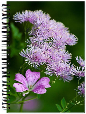 

Chesta Enterprises A5 Note Book(Designer, Multicolor)