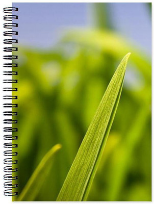 

Chesta Enterprises A5 Note Book(Designer, Multicolor)