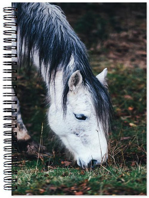 

Chesta Enterprises A5 Note Book(Designer, Multicolor)