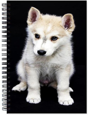 

Little Jaipur A5 Note Book(Designer, Multicolor)