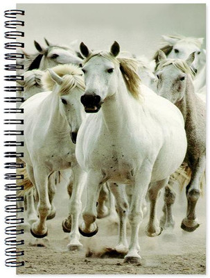 

Chesta Enterprises A5 Note Book(Designer, Multicolor)