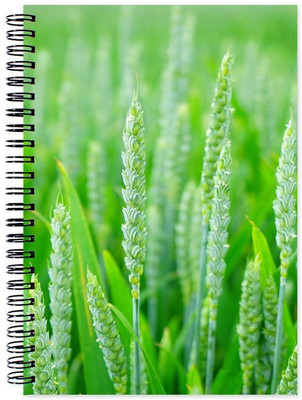 

Little Jaipur A5 Note Book(Designer, Multicolor)