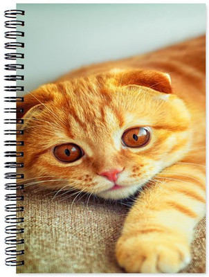 

Chesta Enterprises A5 Note Book(Designer, Multicolor)