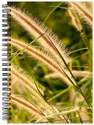 

Chesta Enterprises A5 Note Book(Designer, Multicolor)