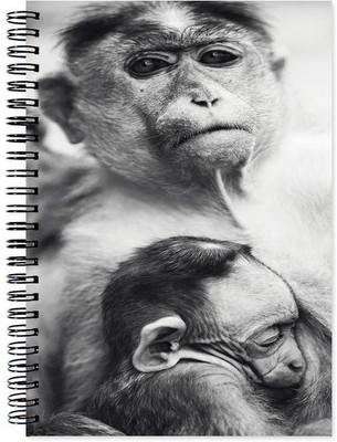 

Chesta Enterprises A5 Note Book(Designer, Multicolor)