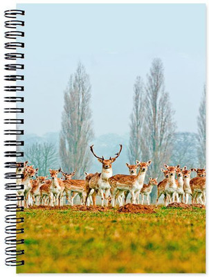 

VenTechno A5 Diary(Animal Designer Wirebound Ruled Paper Sheets Personal and Office Stationary Notebooks Diary, Multicolor)