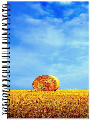 

Chesta Enterprises A5 Note Book(Designer, Multicolor)