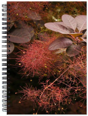 

Chesta Enterprises A5 Note Book(Designer, Multicolor)