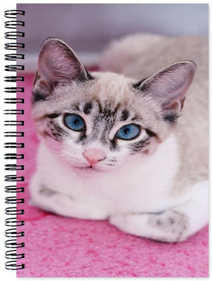 

Chesta Enterprises A5 Note Book(Designer, Multicolor)
