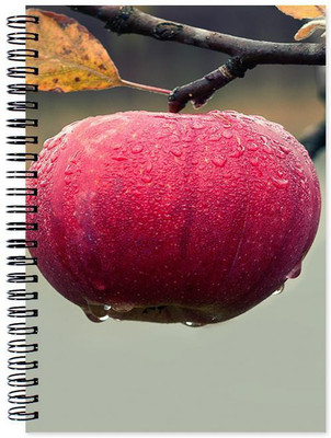 

Chesta Enterprises A5 Note Book(Designer, Multicolor)