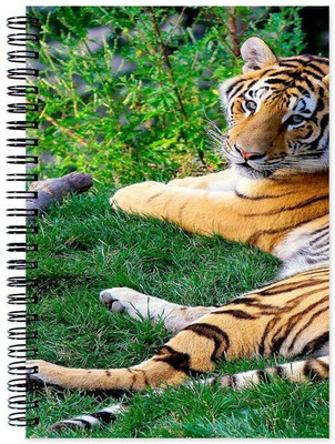 Little Jaipur A5 Note Book(Designer, Multicolor)