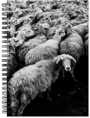 

Chesta Enterprises A5 Note Book(Designer, Multicolor)