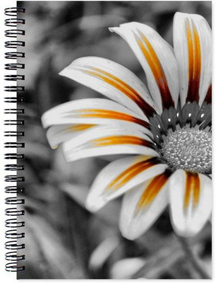 

Chesta Enterprises A5 Note Book(Designer, Multicolor)