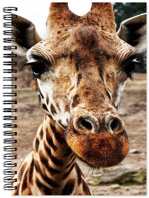 

Chesta Enterprises A5 Note Book(Designer, Multicolor)