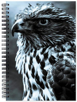 

Chesta Enterprises A5 Note Book(Designer, Multicolor)
