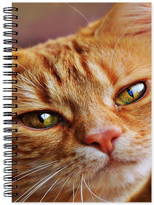 Chesta Enterprises A5 Note Book(Designer, Multicolor)