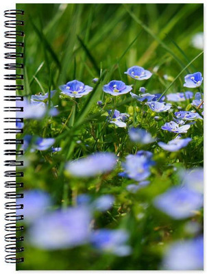 

Chesta Enterprises A5 Note Book(Designer, Multicolor)