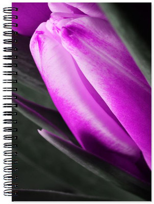 

Chesta Enterprises A5 Note Book(Designer, Multicolor)