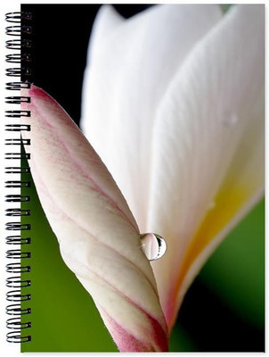 

Chesta Enterprises A5 Note Book(Designer, Multicolor)