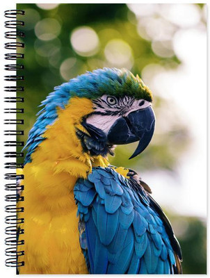 

Chesta Enterprises A5 Note Book(Designer, Multicolor)