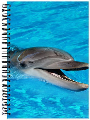 

Chesta Enterprises A5 Note Book(Designer, Multicolor)