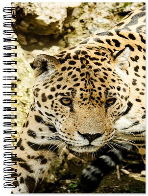 

Chesta Enterprises A5 Note Book(Designer, Multicolor)