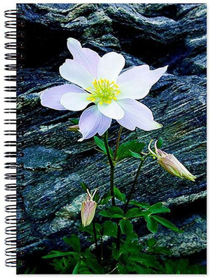 

Little Jaipur A5 Note Book(Flower, Multicolor)