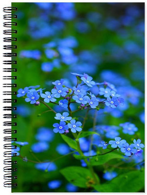 

Chesta Enterprises A5 Note Book(Designer, Multicolor)