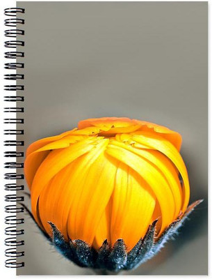 

Chesta Enterprises A5 Note Book(Designer, Multicolor)