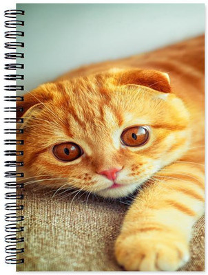 

Chesta Enterprises A5 Note Book(Designer, Multicolor)