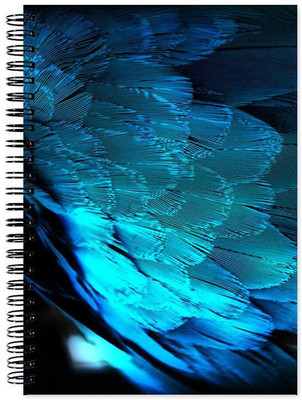 

Little Jaipur A5 Note Book(Texture, Multicolor)