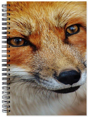 

Chesta Enterprises A5 Note Book(Designer, Multicolor)