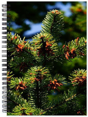 

Chesta Enterprises A5 Note Book(Designer, Multicolor)