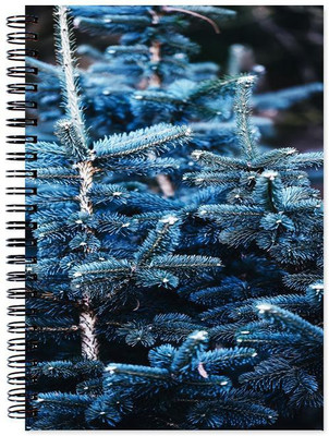 

Little Jaipur A5 Note Book(Designer, Multicolor)