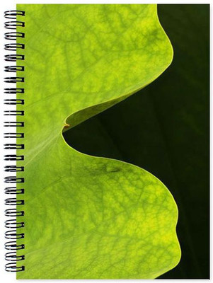 

Little Jaipur A5 Note Book(Designer, Multicolor)