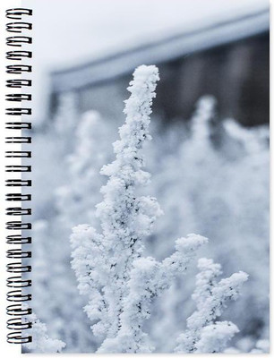 

Chesta Enterprises A5 Note Book(Designer, Multicolor)