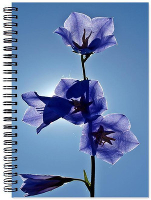 

Chesta Enterprises A5 Note Book(Designer, Multicolor)