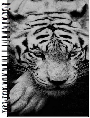 

Little Jaipur A5 Note Book(Designer, Multicolor)
