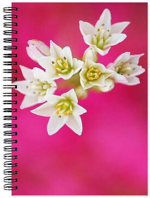 

Little Jaipur A5 Note Book(Designer, Multicolor)