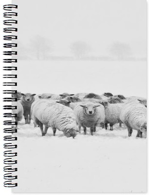 

Chesta Enterprises A5 Note Book(Designer, Multicolor)