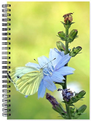 

Chesta Enterprises A5 Note Book(Designer, Multicolor)