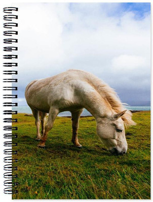 

Little Jaipur A5 Note Book(Designer, Multicolor)