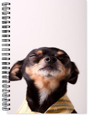 Chesta Enterprises A5 Note Book(Animal, Multicolor)