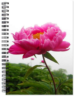 

Chesta Enterprises A5 Note Book(Flower, Multicolor)