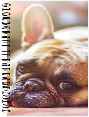 

Chesta Enterprises A5 Note Book(Designer, Multicolor)