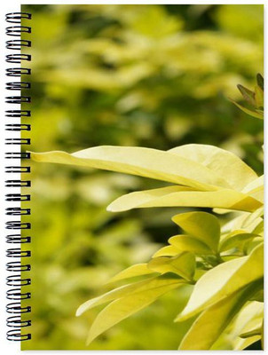 

Chesta Enterprises A5 Note Book(Designer, Multicolor)