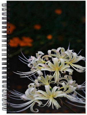 Little Jaipur A5 Note Book(Flower, Multicolor)
