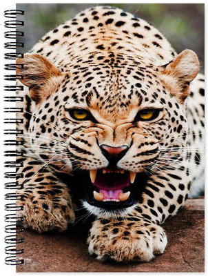 

Chesta Enterprises A5 Note Book(Designer, Multicolor)