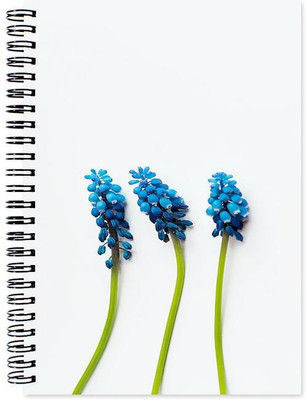 Chesta Enterprises A5 Note Book(Designer, Multicolor)