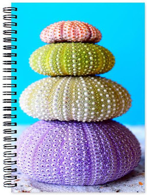 

Chesta Enterprises A5 Note Book(Designer, Multicolor)